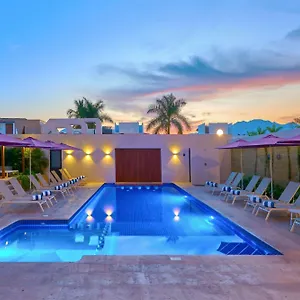https://city-express-plus-puerto-vallarta.hotelspuertovallarta.org